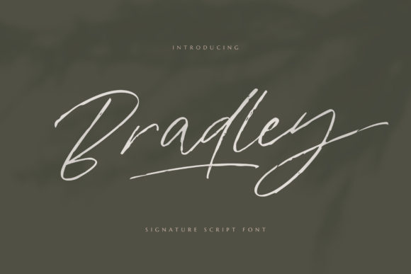 Bring Charm to Your Creations with Bradley Font